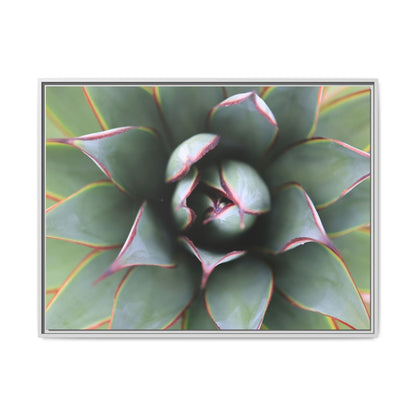 Spiky Elegance - Unique Stretched Canvas Wall Art