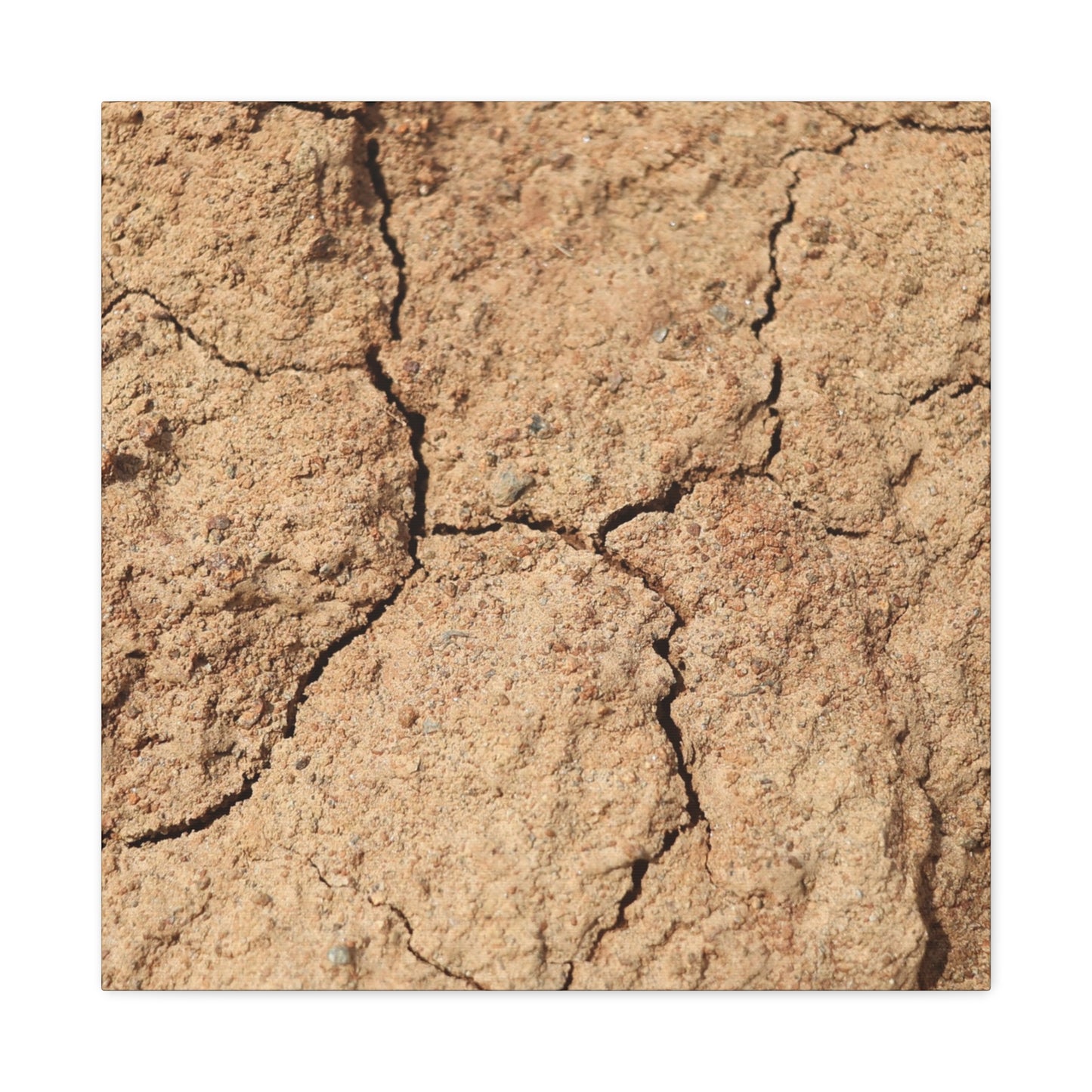Cracked Earth's Lament - Unique Frameless Canvas Wall Art