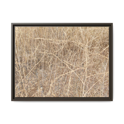 Golden Stalks - Unique Stretched Canvas Wall Art