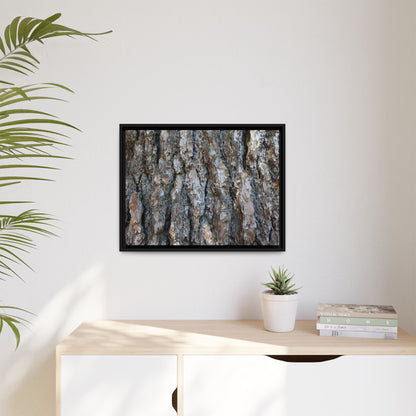 Bark Whispers - Unique Stretched Canvas Wall Art