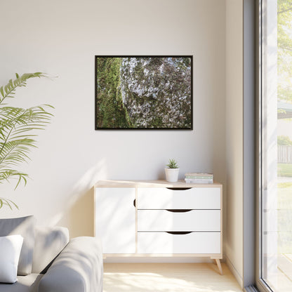 Lichen Landscape - Unique Stretched Canvas Wall Art