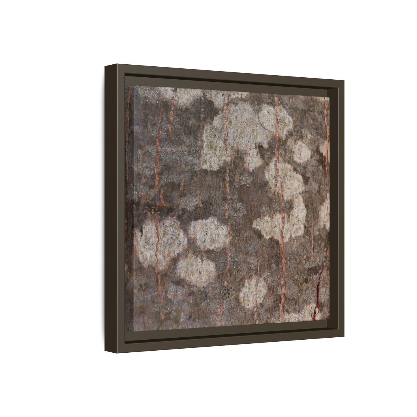 Lichen's Legacy - Unique Stretched Canvas Wall Art