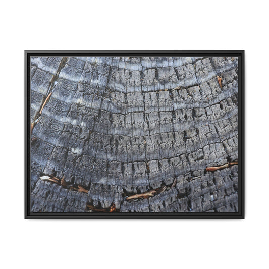 Charred Memories - Unique Poster Wall Art