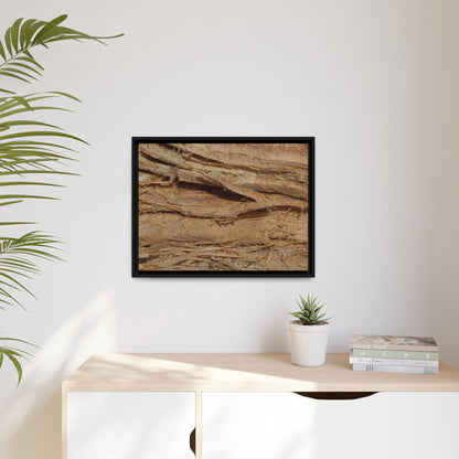 Splintered Bark - Unique Stretched Canvas Wall Art