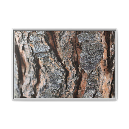 Fractured Nature - Unique Stretched Canvas Wall Art