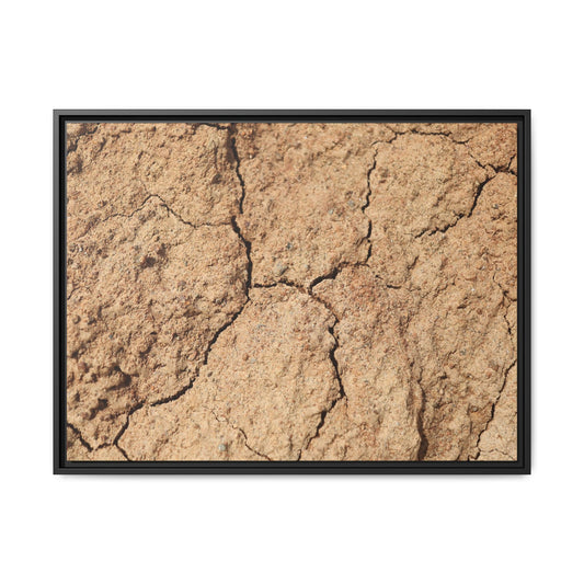 Parched Land - Unique Stretched Canvas Wall Art