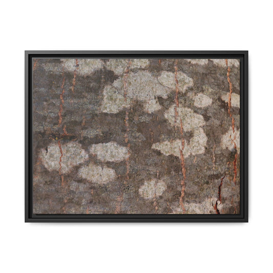 Lichen's Legacy - Unique Stretched Canvas Wall Art