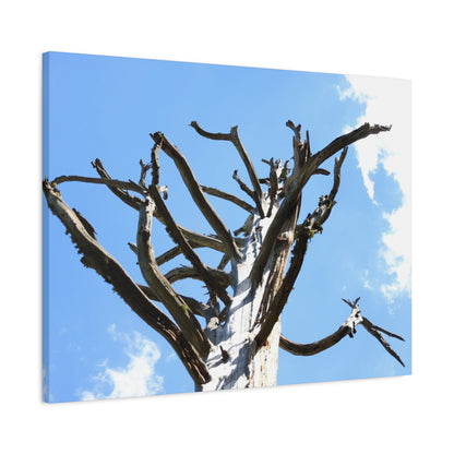 Skeletal Branches Reaching - Unique Frameless Canvas Wall Art