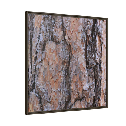 Tree Skin Symphony - Unique Stretched Canvas Wall Art