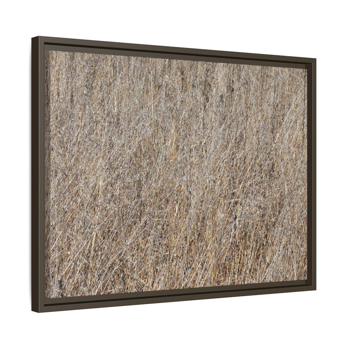 Whispers of Straw - Unique Stretched Canvas Wall Art - Art By Earth