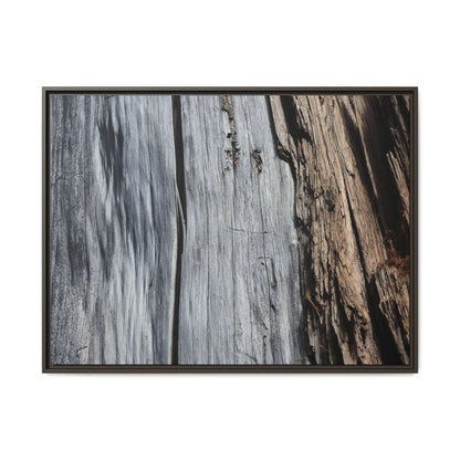 Wood's Lament - Unique Stretched Canvas Wall Art