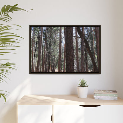 Forest Cathedral - Unique Stretched Canvas Wall Art