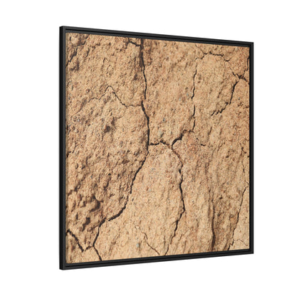 Parched Land - Unique Stretched Canvas Wall Art