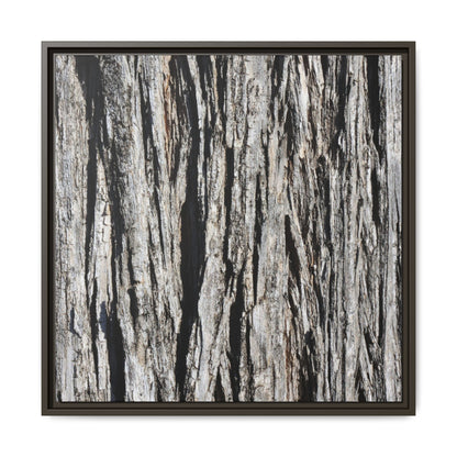Bark Lines - Unique Stretched Canvas Wall Art