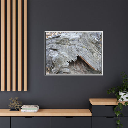 Driftwood Dreams - Unique Stretched Canvas Wall Art