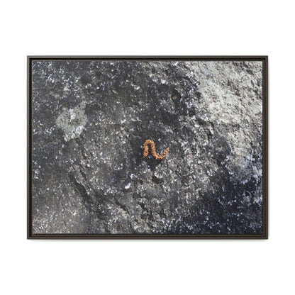Volcanic Ash and Copper - Unique Stretched Canvas Wall Art