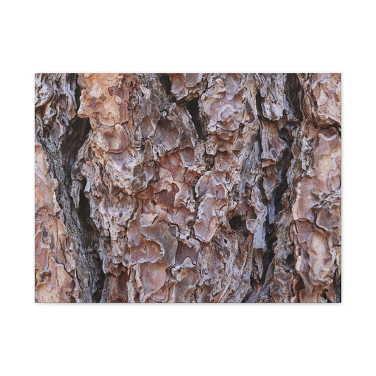 Rough Canvas - Unique Frameless Canvas Wall Art
