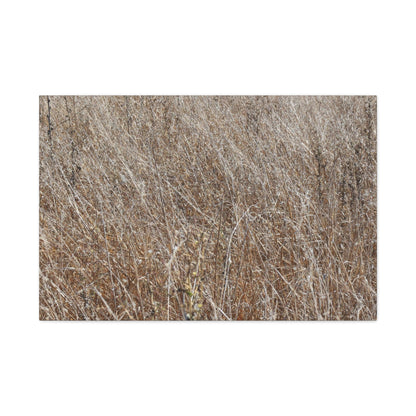 Whispers of Autumn - Unique Frameless Canvas Wall Art - Art By Earth