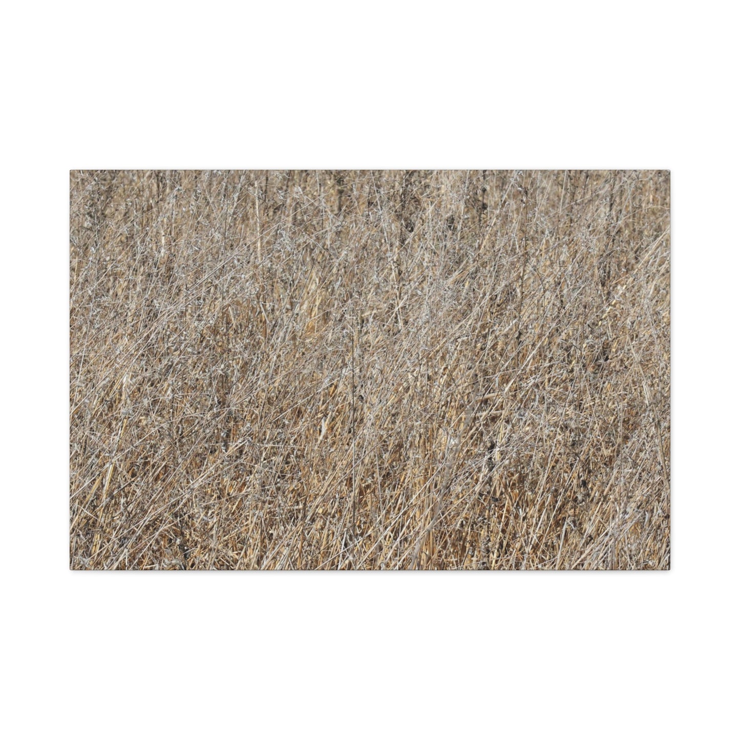 Silent Prairie - Unique Frameless Canvas Wall Art - Art By Earth