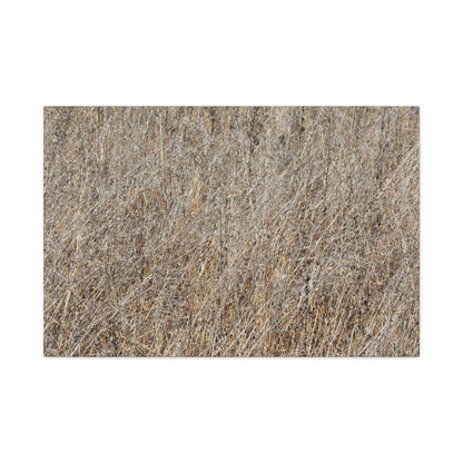 Silent Prairie - Unique Frameless Canvas Wall Art - Art By Earth