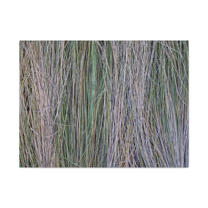 Whispers of Grass - Unique Frameless Canvas Wall Art