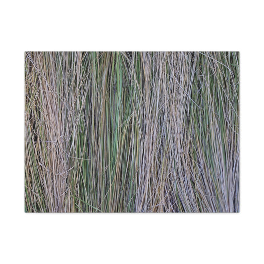Whispers of Grass - Unique Frameless Canvas Wall Art