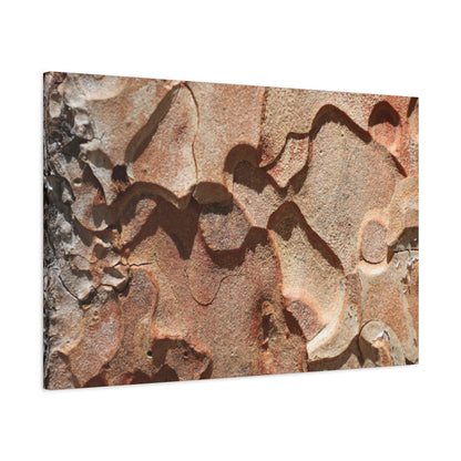 Terracotta Echoes - Unique Frameless Canvas Wall Art