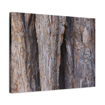 Fractal Skin - Unique Frameless Canvas Wall Art