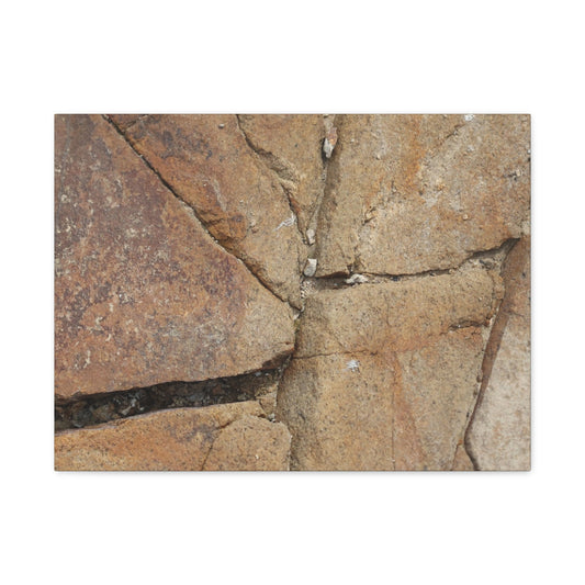 Cracked Earth's Canvas - Unique Frameless Canvas Wall Art