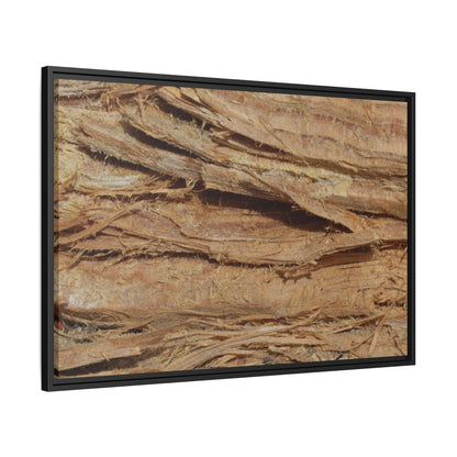 Splintered Bark - Unique Stretched Canvas Wall Art