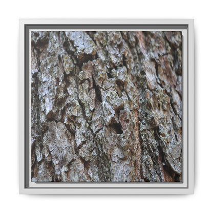 Woodland Canvas - Unique Stretched Canvas Wall Art