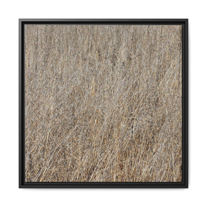Dry Straw Symphony - Unique Stretched Canvas Wall Art - Art By Earth