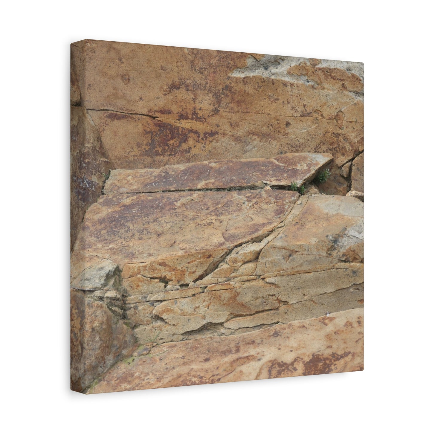 Rocky Terrain - Unique Frameless Canvas Wall Art