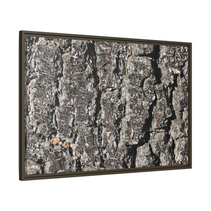 Bark Study in Gray - Unique Stretched Canvas Wall Art