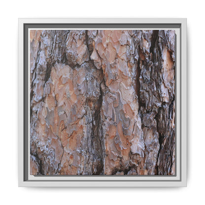 Tree Skin Symphony - Unique Stretched Canvas Wall Art