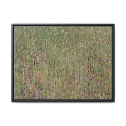 Field of Dreams - Unique Poster Wall Art