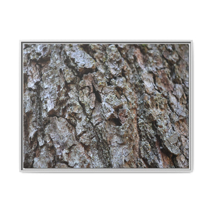 Woodland Canvas - Unique Stretched Canvas Wall Art
