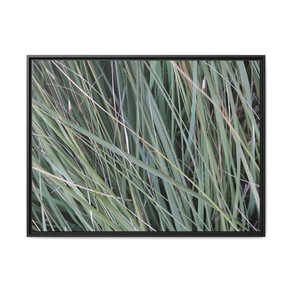 Grassland Symphony - Unique Stretched Canvas Wall Art