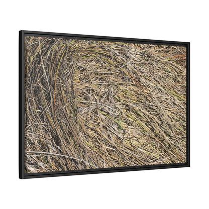 Tangled Grass Symphony - Unique Stretched Canvas Wall Art - Art By Earth