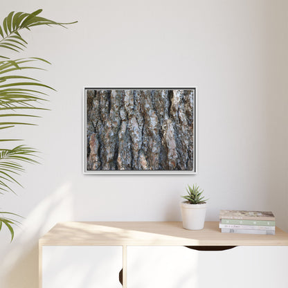 Bark Whispers - Unique Stretched Canvas Wall Art