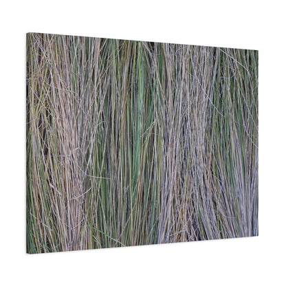Whispers of Grass - Unique Frameless Canvas Wall Art
