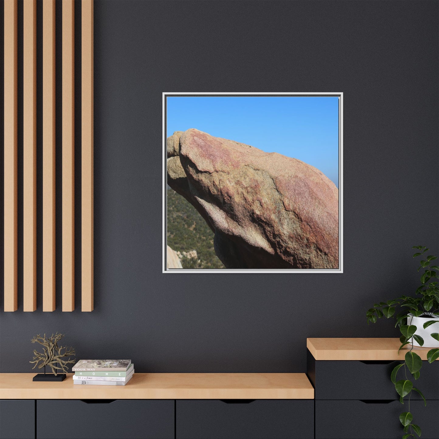 Sleeping Stone - Unique Stretched Canvas Wall Art