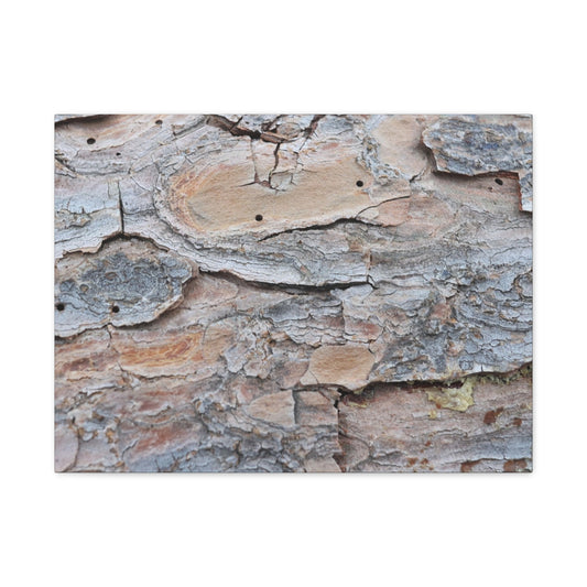 Textural Geology - Unique Frameless Canvas Wall Art