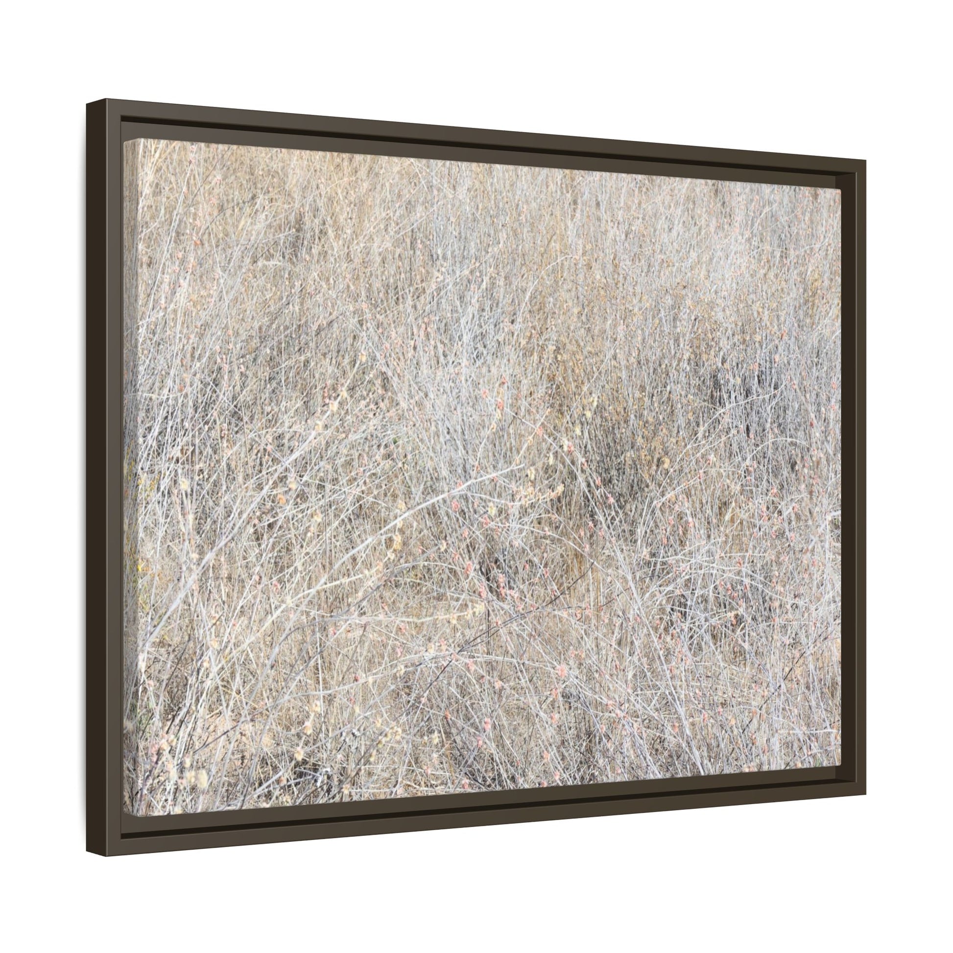 Whispers of Dry Grass - Unique Stretched Canvas Wall Art - Art By Earth