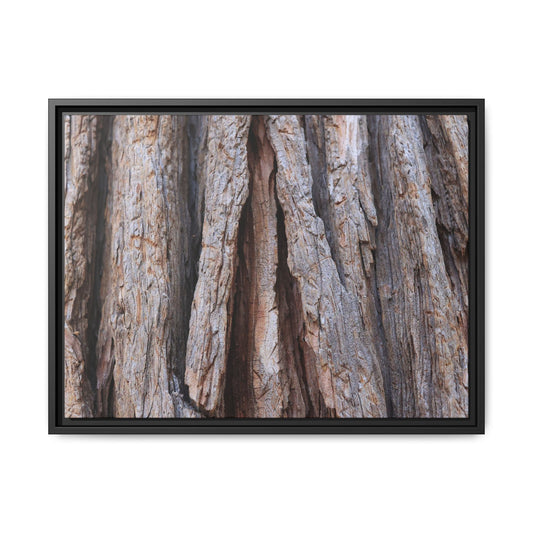 Nature's Sculpture - Unique Stretched Canvas Wall Art