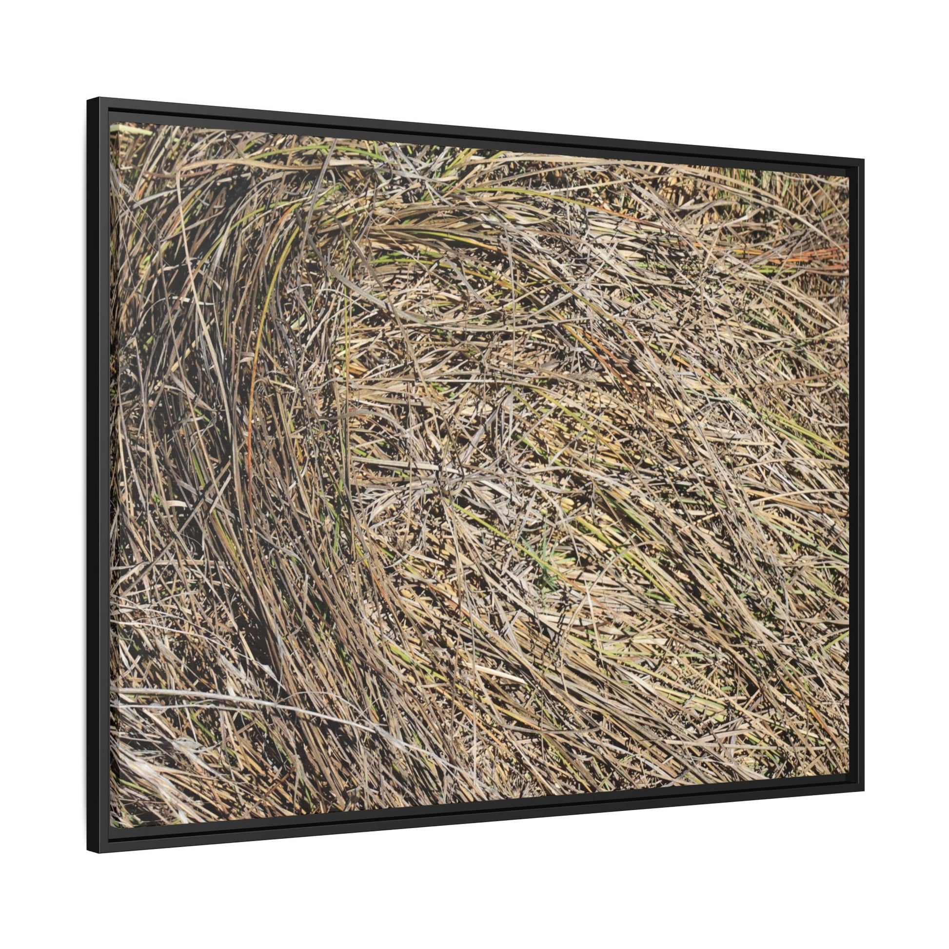 Tangled Grass Symphony - Unique Stretched Canvas Wall Art - Art By Earth