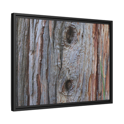 Knotty Nature - Unique Stretched Canvas Wall Art
