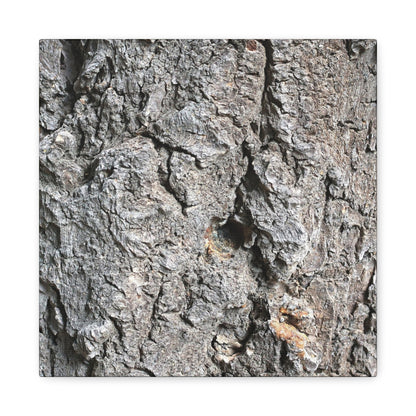 Elemental Canvas - Unique Frameless Canvas Wall Art