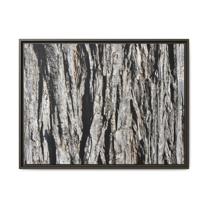 Bark Lines - Unique Stretched Canvas Wall Art
