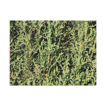 Emerald Tapestry - Unique Frameless Canvas Wall Art - Art By Earth